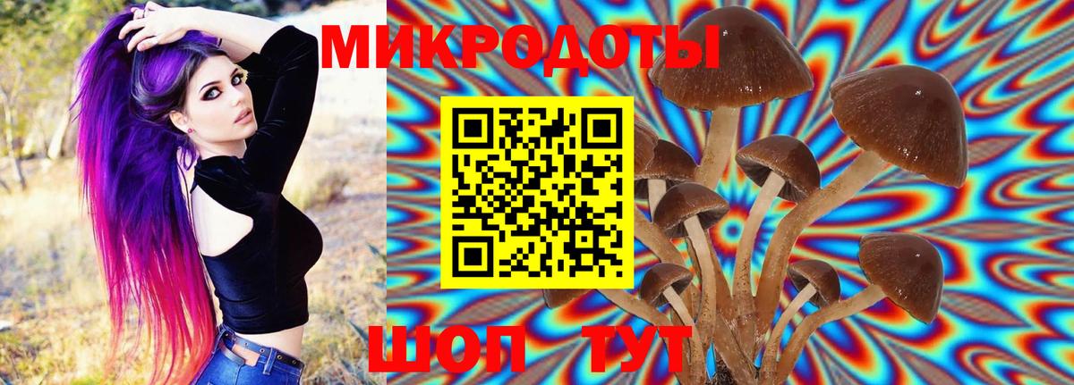 Галлюциногенные грибы GOLDEN TEACHER  Вход с VPN  Псилоцибиновые грибы Cubensis  Санкт-Петербург 