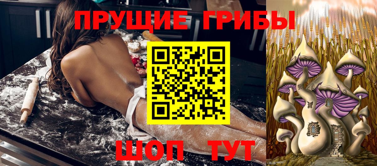 Псилоцибиновые грибы GOLDEN TEACHER Санкт-Петербург